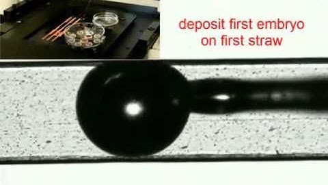 Robotic Vitrification of Embryos and Ooctyes