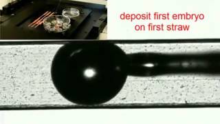 Robotic Vitrification of Embryos and Ooctyes