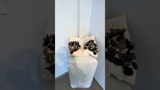 Experience the life of a millennial artist | The Vision Gallery | Downtown Chandler AZ #art #artist