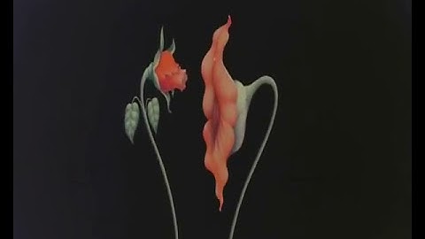 Pink Floyd   Gerald Scarfe Animation   What Shall We Do Now