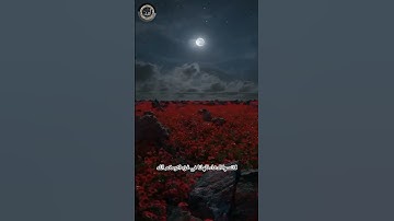#اكسبلور #سورة غافر وقال فرعون ذرونى اقتل موسى وليدع ربه
