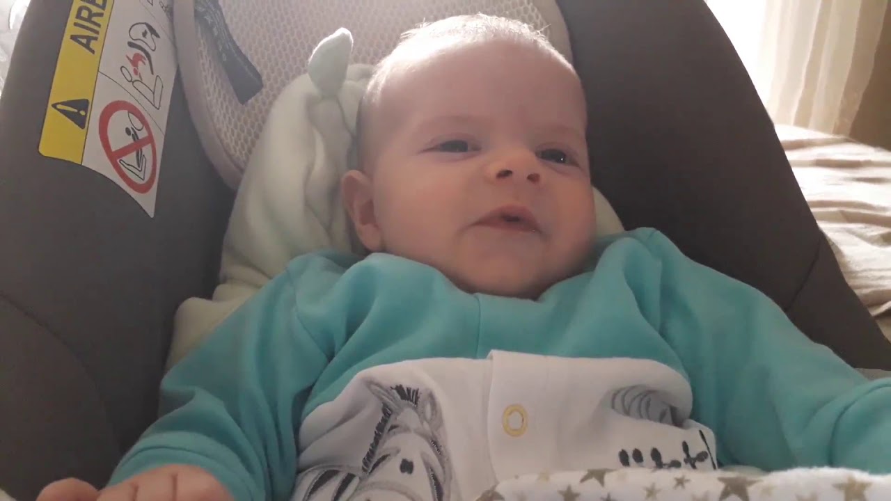 ♥️ 22.11 Gugutanje