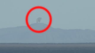 5 KING KONG caught on camera | spotted in real life I Found The Real King Kong