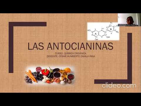 Video: ¿Cómo se forman las antocianinas?