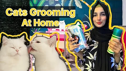 Watch the video about CAT GROOMING AT HOME😻|Jerry ki basic Grooming ki🐱| Birthday Celebration | Mewithmeow❤️