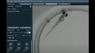 Tutorial: Image Acquisition - MCAM™ Kestrel