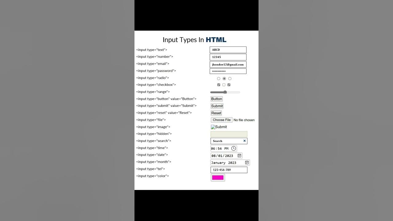 All Input Types in HTML | HTML input field - YouTube