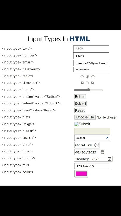 All Input Types in HTML | HTML input field - YouTube