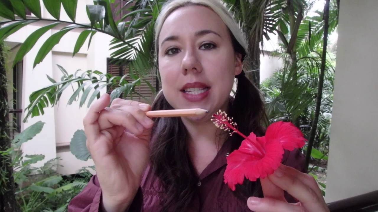 Presenting/Science Host Demo Reel