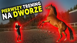 Wróciła Stara Lovka? Przejęłam Quevedo