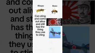 Wasps Vs Bees #memes #imperialjapan #bees #wasps #japan #funny Wasps Vs Bees #memes #imperialjapan #bees #wasps #japan #funny