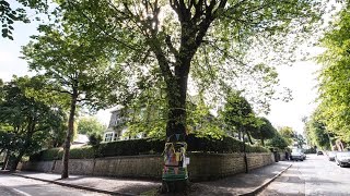 Call for a bolder England Tree Strategy | Woodland Trust
