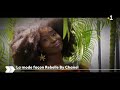 La mode façon Rebelle by chanel
