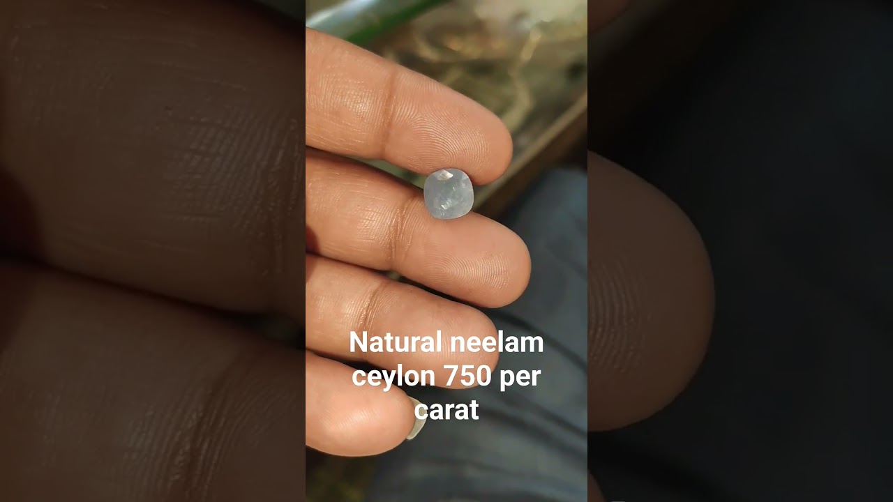 neelam Ceylon wholesale price 