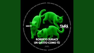 Un Gatito Como Tù