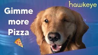 Hawkeye BUT Only Lucky : The Pizza Dog (With Subtitles)