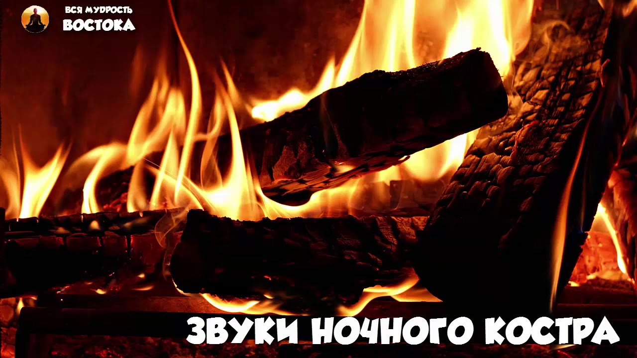 сверчки поют ночью звук для сна. ночные звуки. светильник с звуками природы. включи звуки ночного. приведение на темном фоне.