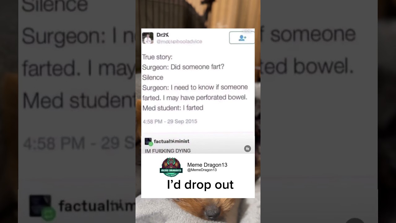 I'd drop out immediately 💨 