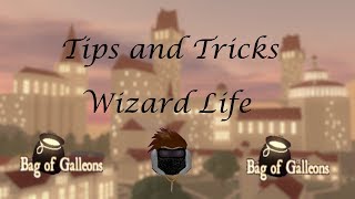 Wizard Life Tips And Tricks