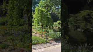 2025 Paris #Parc Monceau