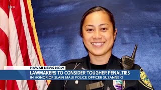 Lawmakers debate strengthening penalties for certain firearms offenses