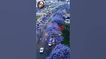 حالات واتس اب الشيخ كشك شوف النبي محمد بيقول ايه من أصبح حزينا علي الدنيا 