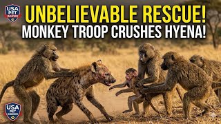 HEART-STOPPING! 😱 Monkey Troop Crushes Hyena to Save Baby! #Wildlife