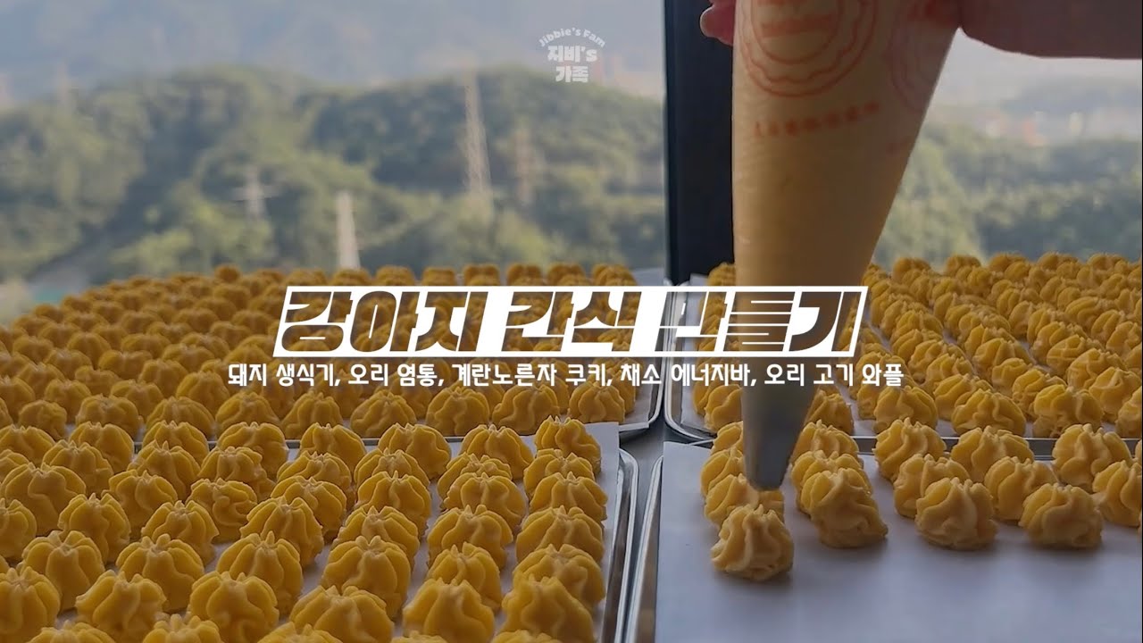 우리 집 강아지 간식을 만들어주는 과정 공개합니당 🐶 | 오늘의 메뉴: 돼지 생식기, 오리 염통, 계란노른자 쿠키, 채소 에너지바, 오리 고기 와플