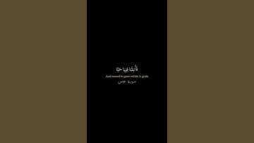 اكتب شي تؤجر عليه ♥️ #قرآن #القران #اكسبلور #تلاوات