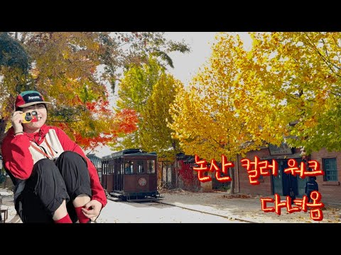 논산 컬러워크 여행 🎨 | 한옥마을·선샤인랜드에서 사진 왕창 찍고 감와인·송어 먹은 논산 1박 2일 브이로그 📸🍷🐟