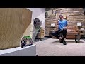 Real Life Trick Shots 2 | Dude Perfect