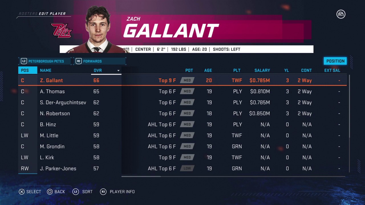 NHL 20 Peterborough Petes Roster All Players Ratings Positions Ages