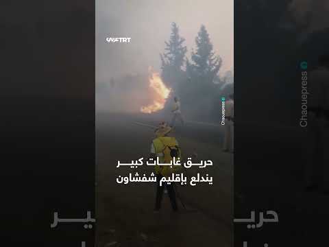 حريق غابات كبير في إقليم شفشاون