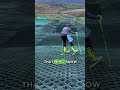 The SECRET to Skiing in Summer! 🤯