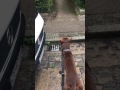 Tony Pitbull VS Unnamed Cat
