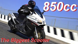 The Biggest Scooters !