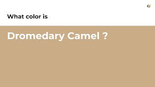 Dromedary Camel color #caad87 hex color - Brown color - Cool color caad87