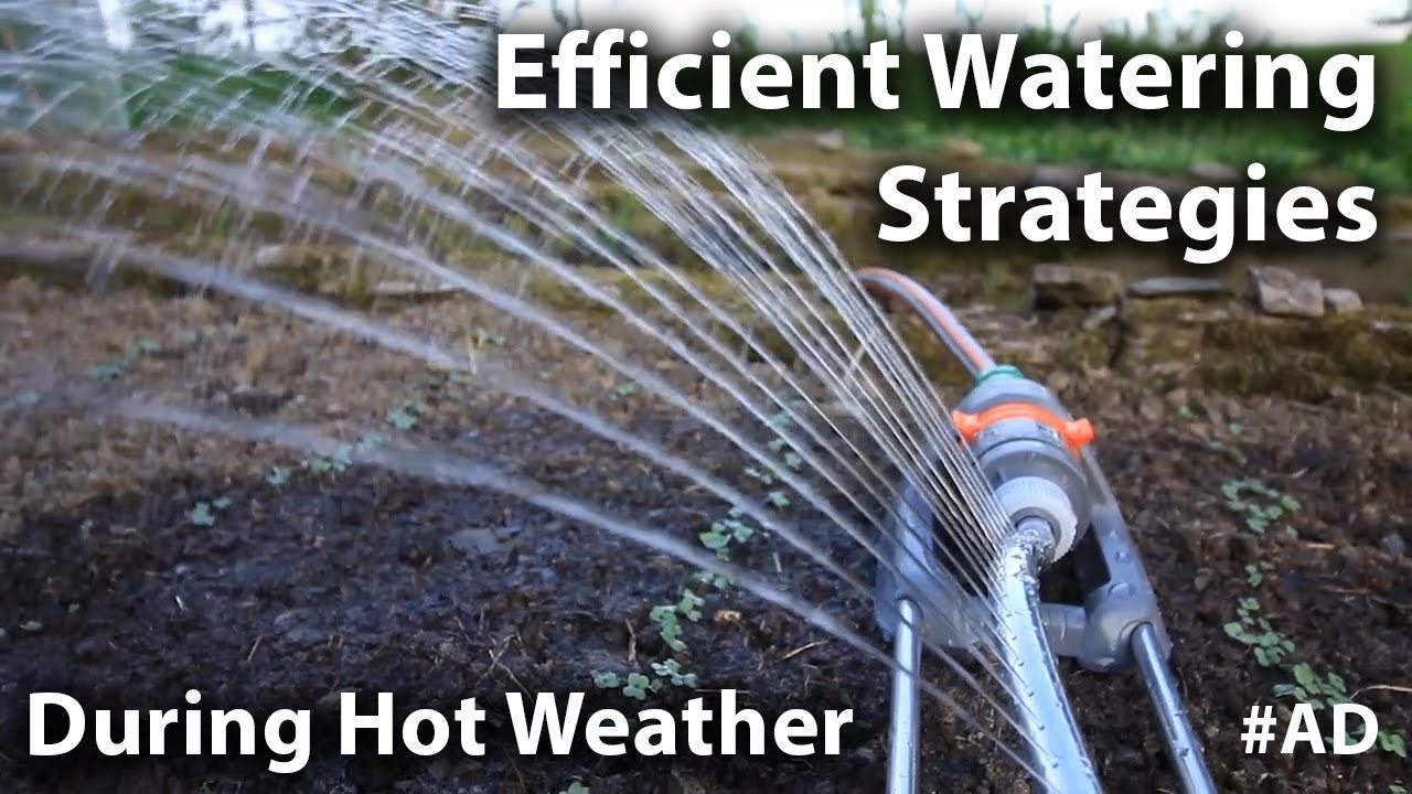 Efficient Watering Strategies for your Garden during Hot Weather YouTube