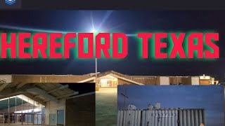 Tour of The Beef Capital of the World Hereford Texas and the Sugarland Mall
