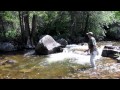 How to Fly Fish Colorado's Freestone Streams