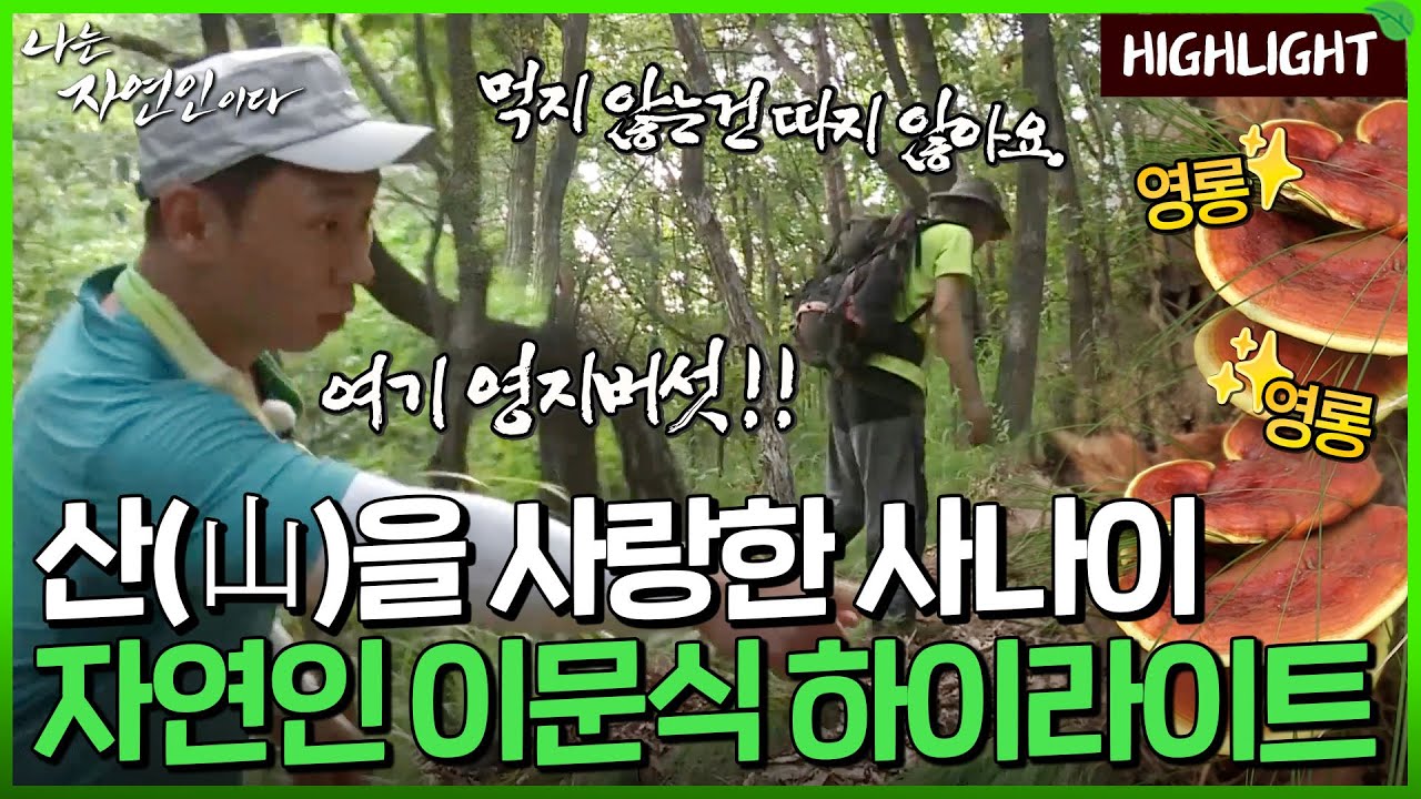 욕심 없는 진정한 산 사나이의 욕심나는 자연살이｜자연인 하이라이트 309회