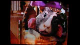 Promo Fuerza-G Juárez En Disney Xd