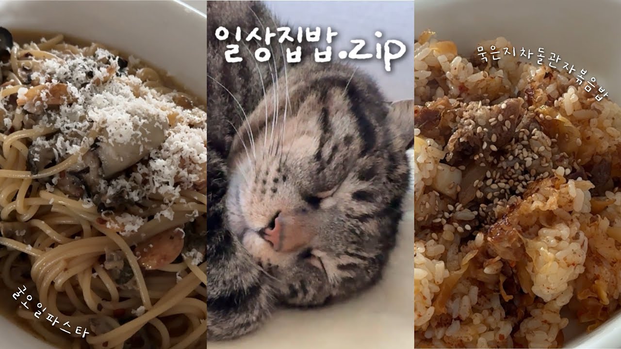 제철은 못참지🦪 굴철 집밥.zip🦪🌶️ 집밥브이로그 | 치킨텐더샐러드&올리브오일, 굴오일파스타, 우삼겹묵은지관자볶음밥, 굴짬뽕탕, 삼양우지라면