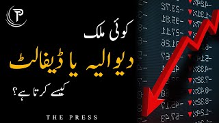 Celebrity How A Country Defaults? | What Happens When Countries Default on Foreign Debts? | The Press Net Worth