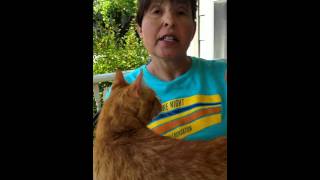 Endoflex Essential Oil from Young Living