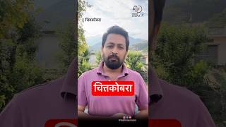 Chittakobra  Mridula Garg  Book Review  Almost Utopia