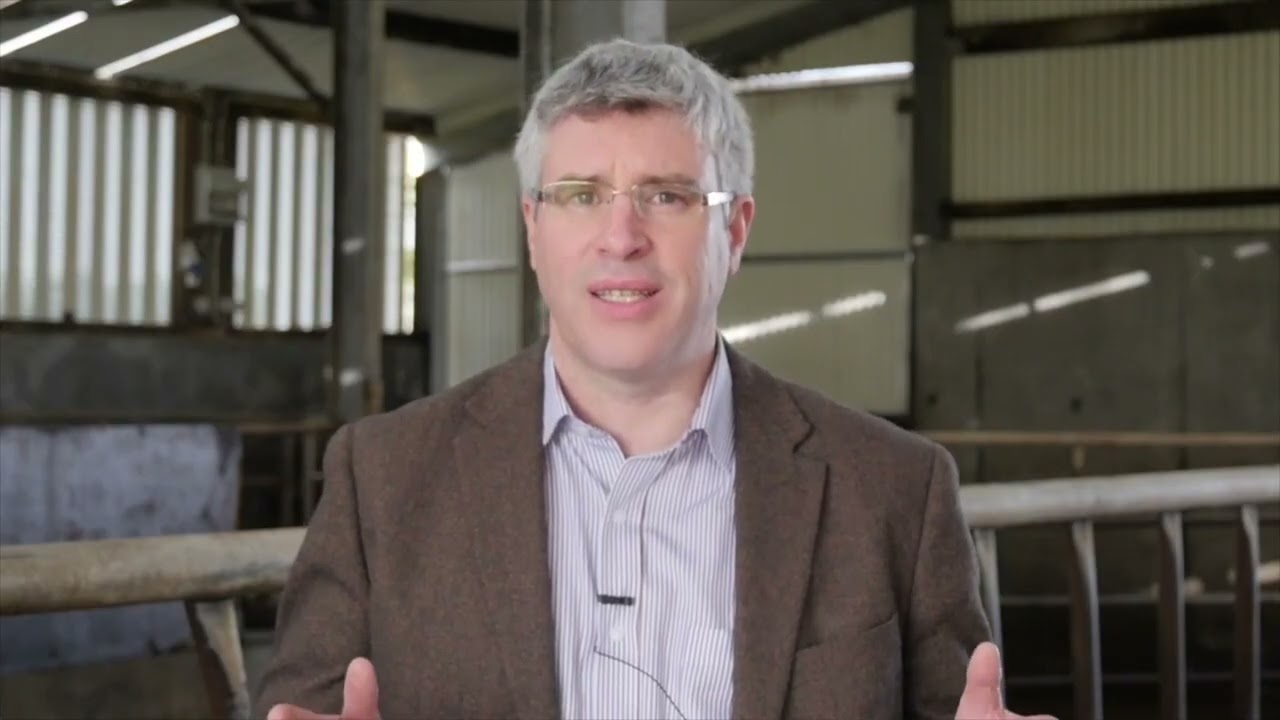 Learn how to clean and disinfect your farm after an outbreak of TB