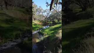 IMG 0245