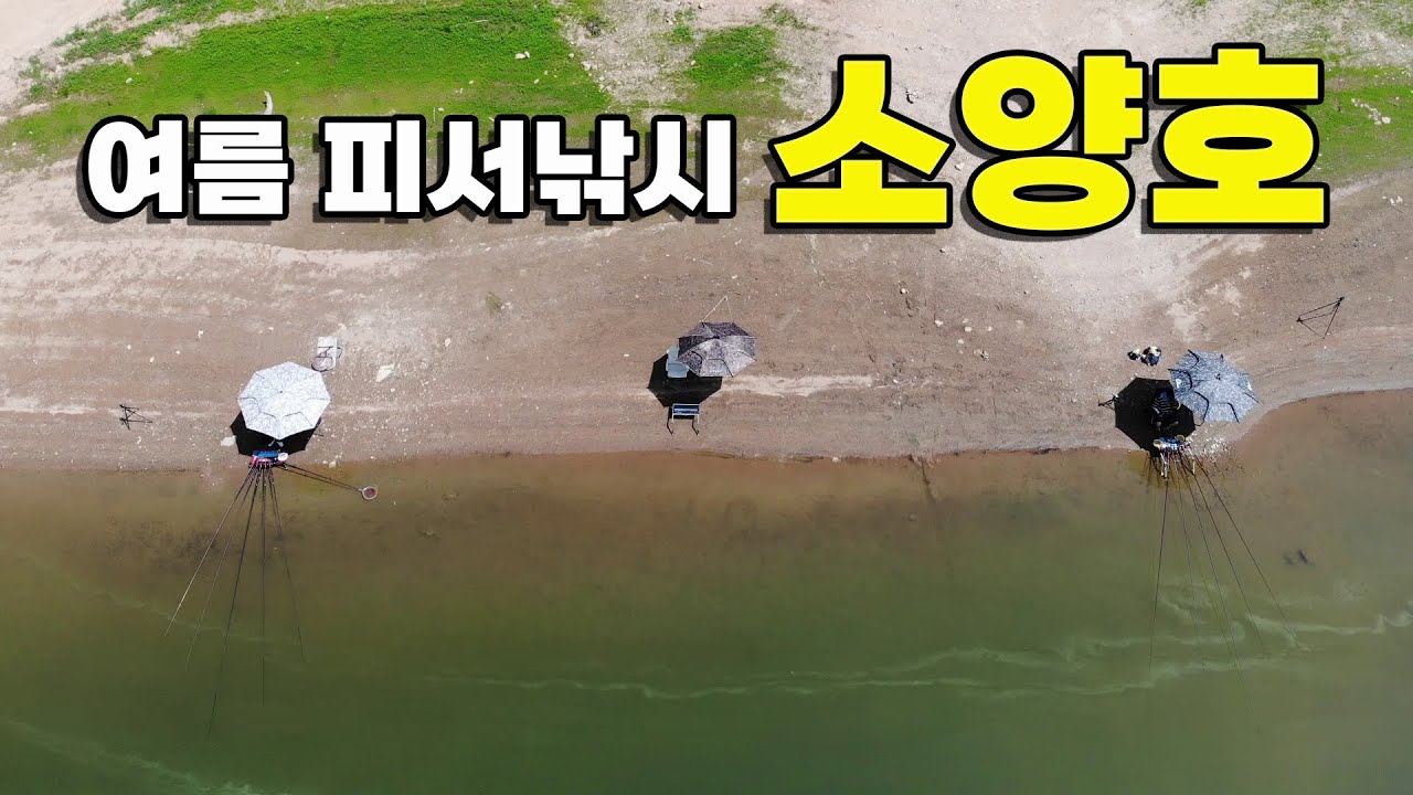 소양호 관대리권 피서 붕어낚시