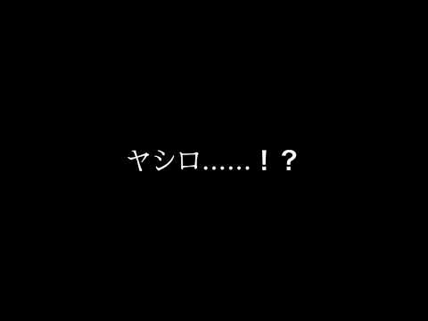 寧々ちゃんの写真集(？)